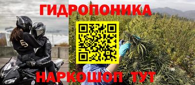 ALPHA PVP Тверь