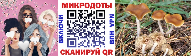 Псилоцибиновые грибы Cubensis  Усть-Кут 