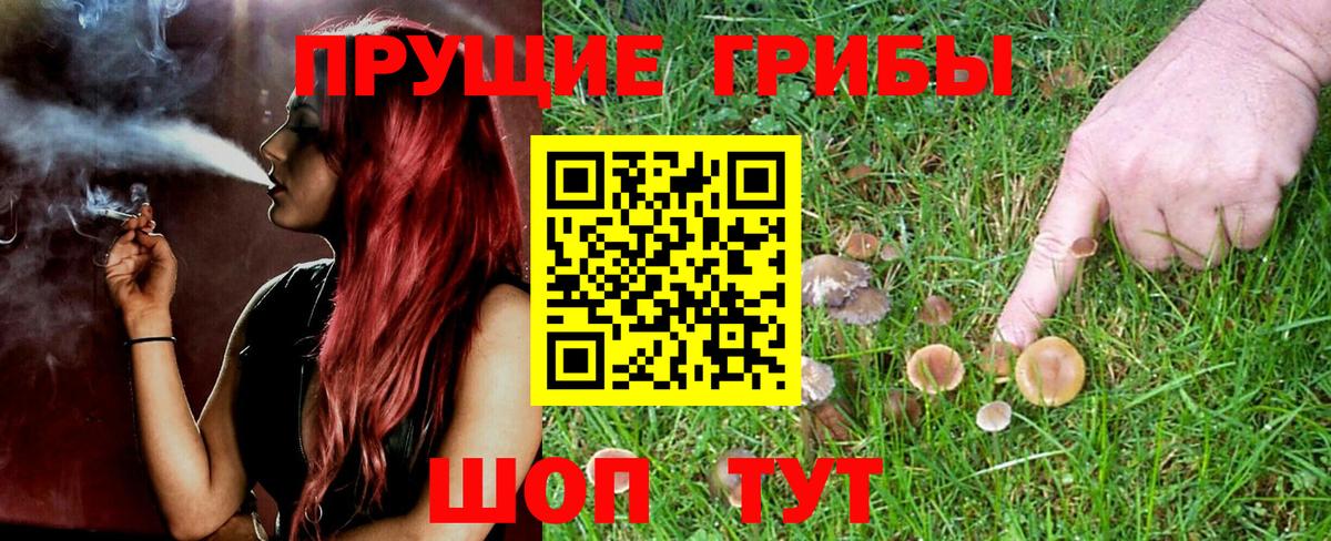 Усть-Кут  Галлюциногенные грибы ЛСД  Вход с VPN 
